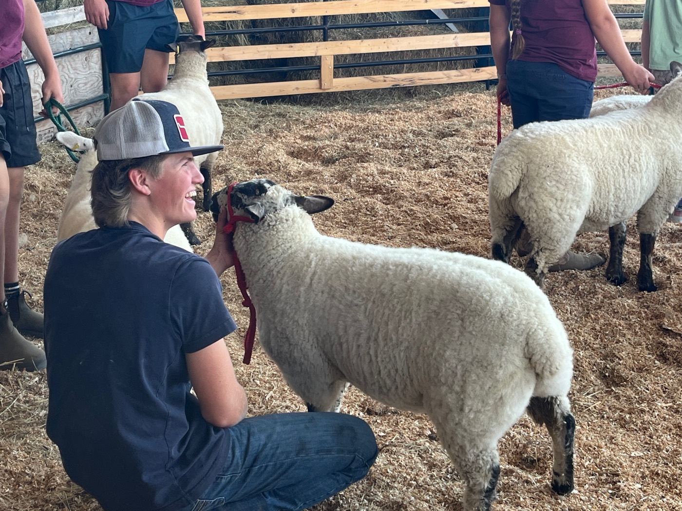 Show-ring day at 4H