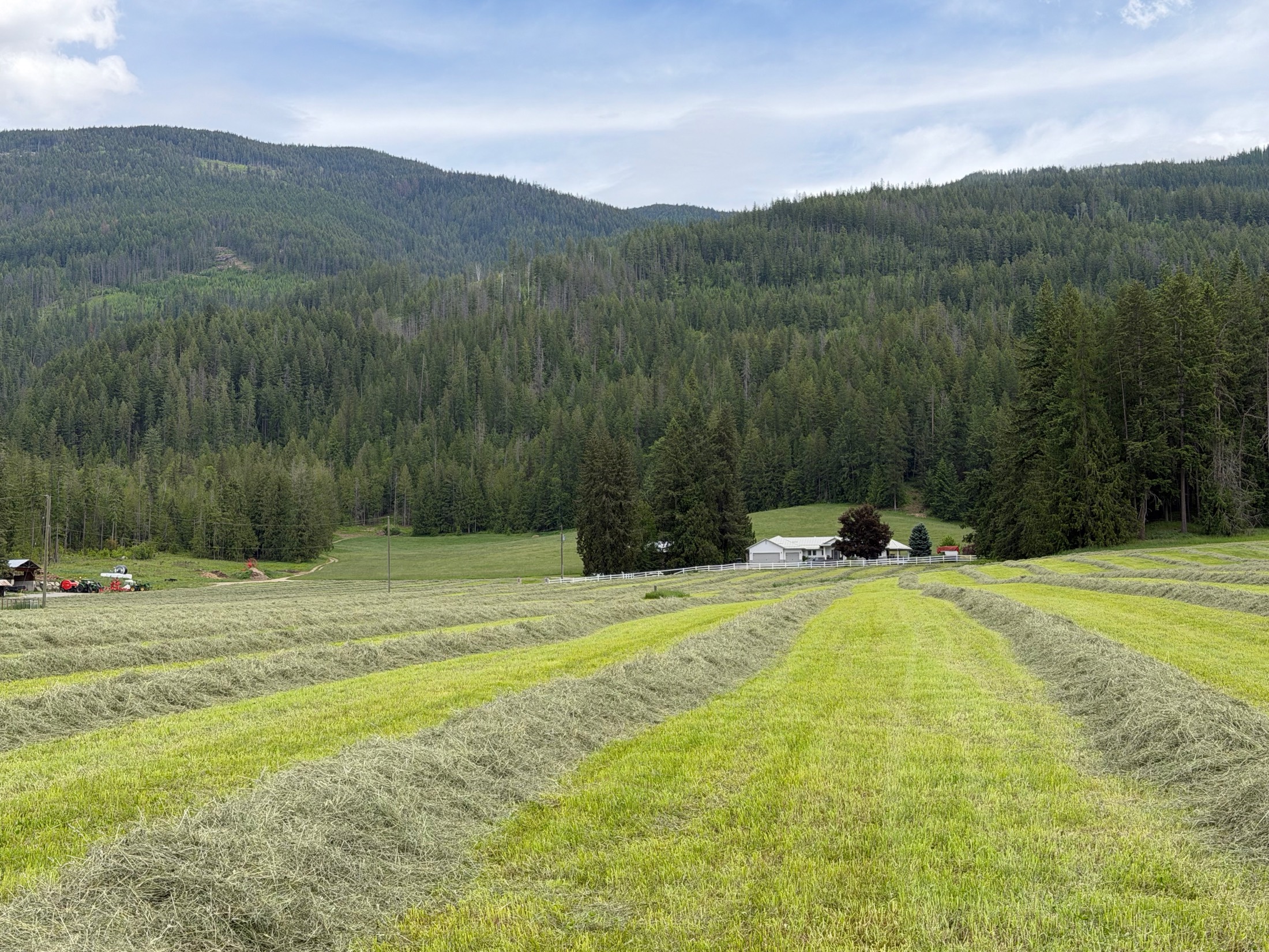 Windrows of fresh hay leading toward the farmhouse and valley beyond