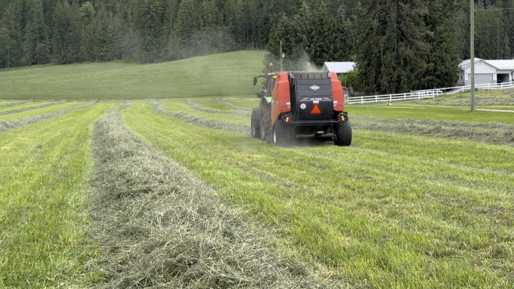 Round baler swallowing a windrow