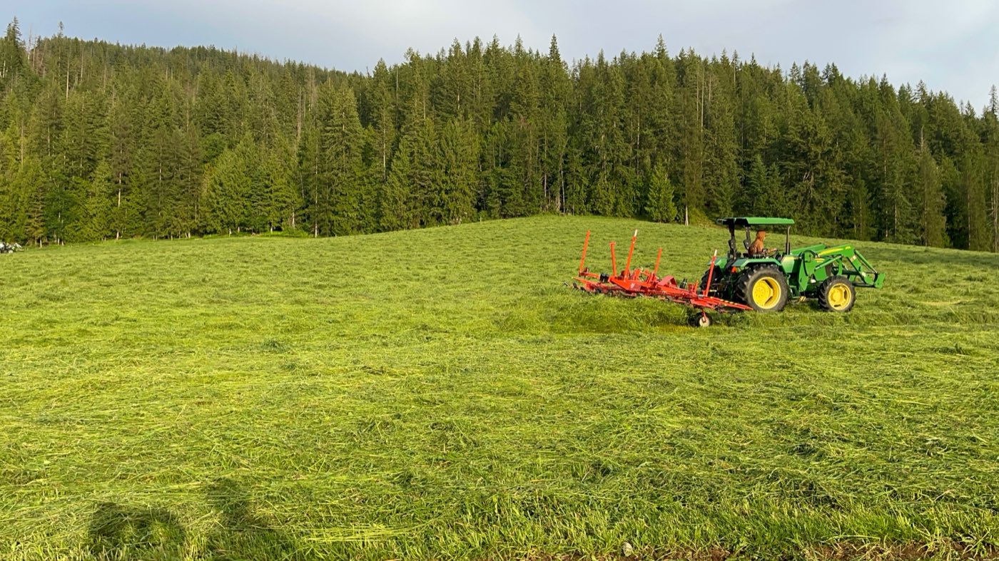 John Deere and tedder fluffing the cut grass to dry