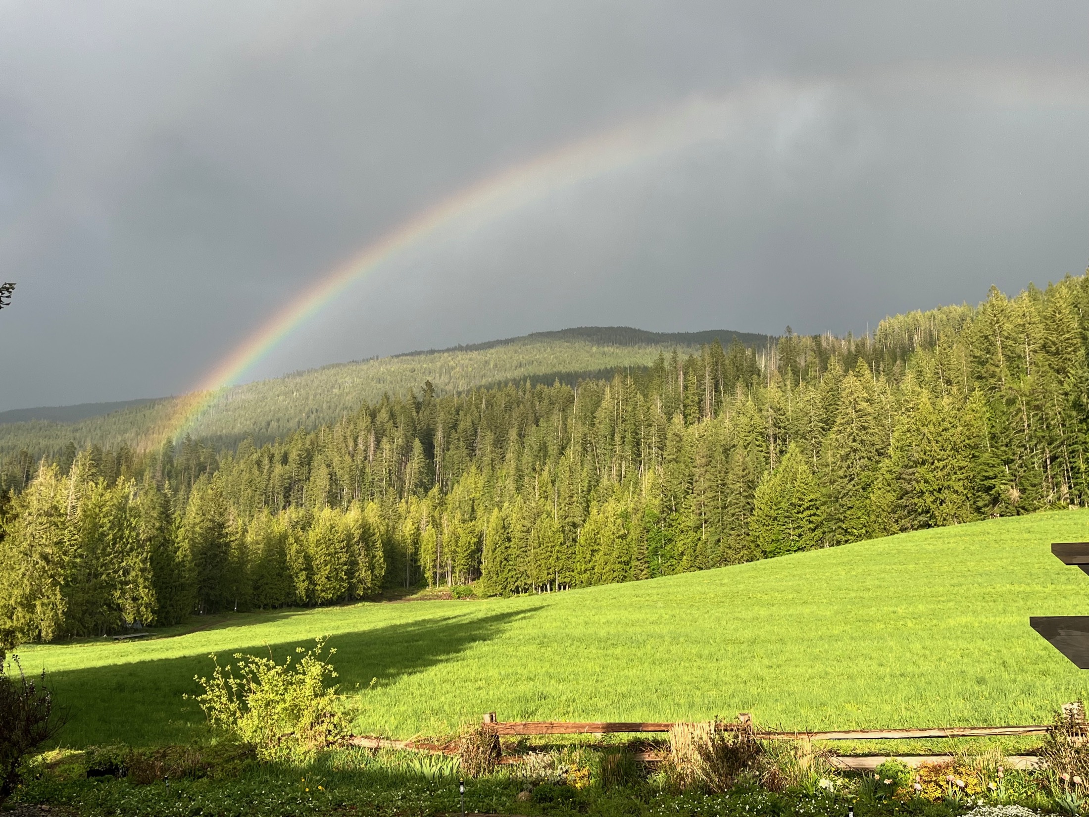 A rainbow arcing over the ranch's green pasture and treeline