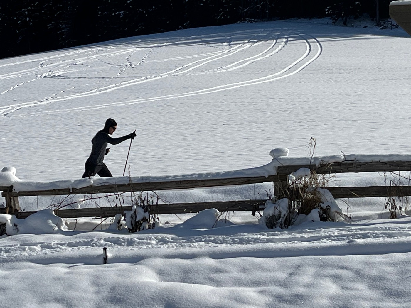A cross-country skier following the fence line through deep snow